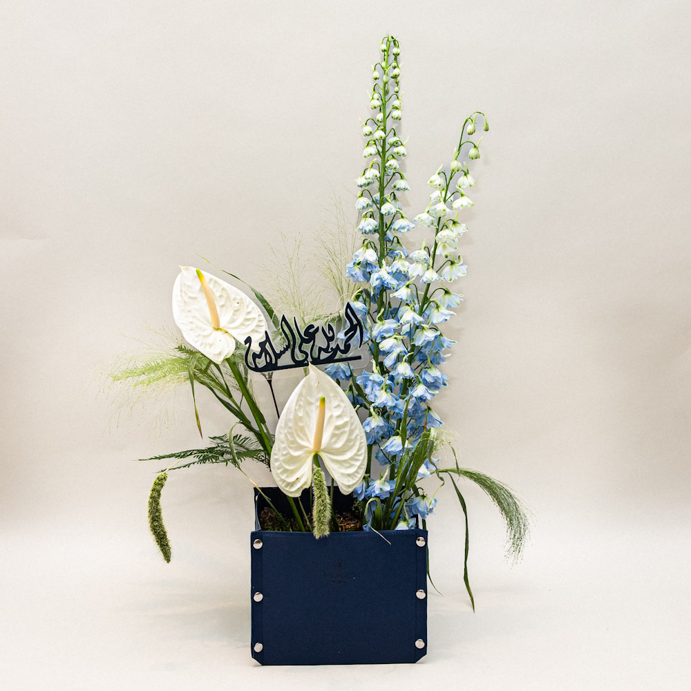 Photo 06-11-2025, 1 01 46 PM Dawn Serenade 2 - Image 1