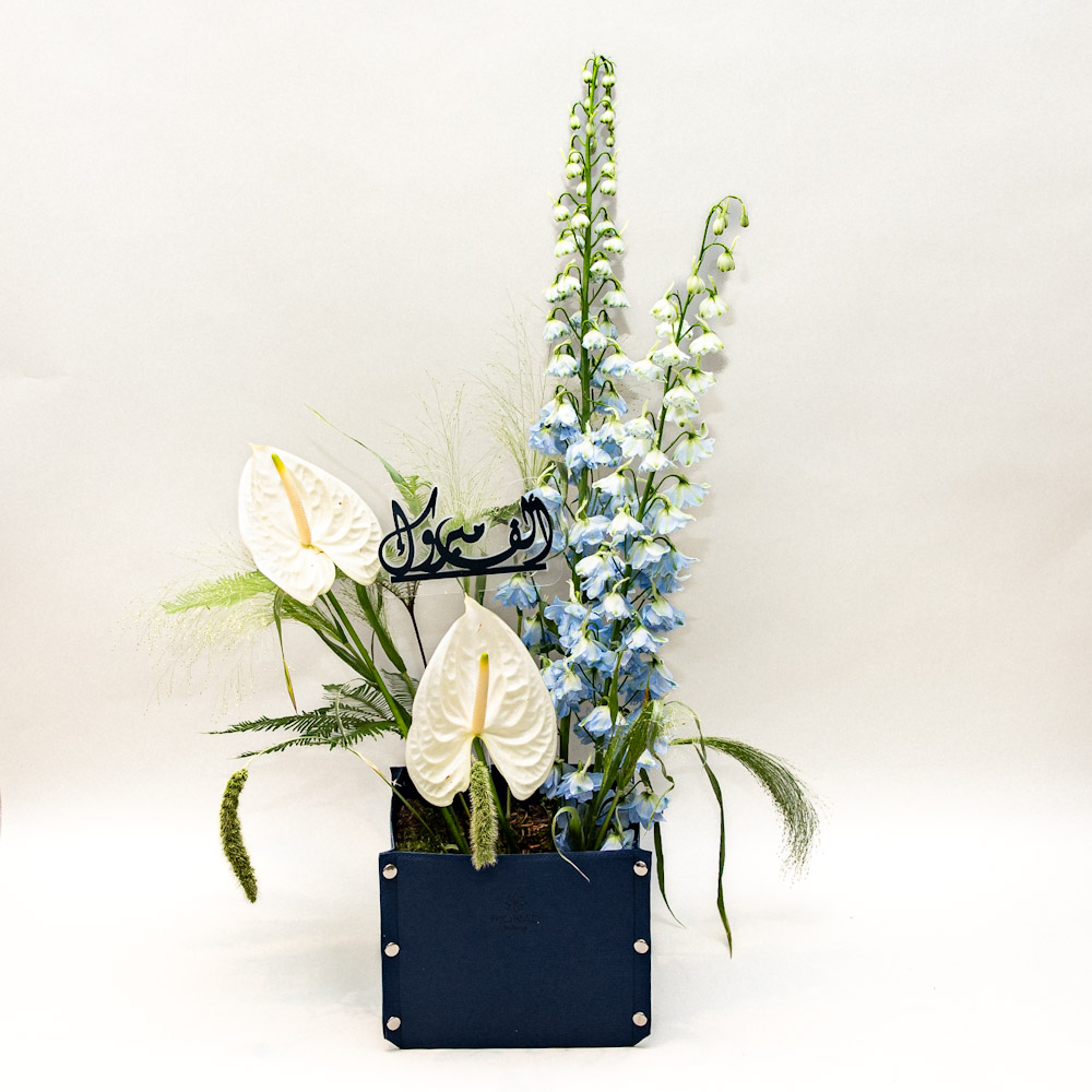 Photo 06-11-2025, 1 03 47 PM Dawn Serenade 4 - Image 1