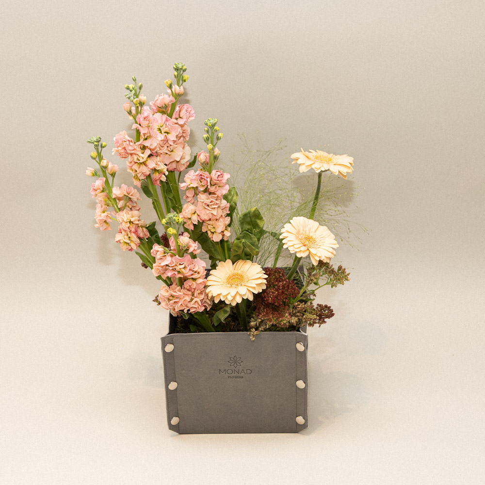 Photo 06-11-2025, 1 37 10 PM Serene Glow - Image 1