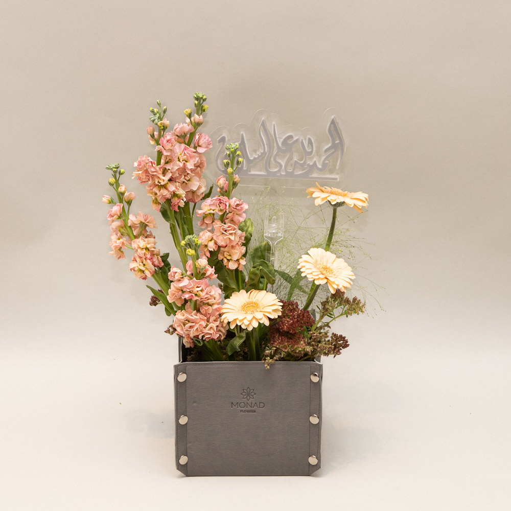 Photo 06-11-2025, 1 38 30 PM Serene Glow 2 - Image 1