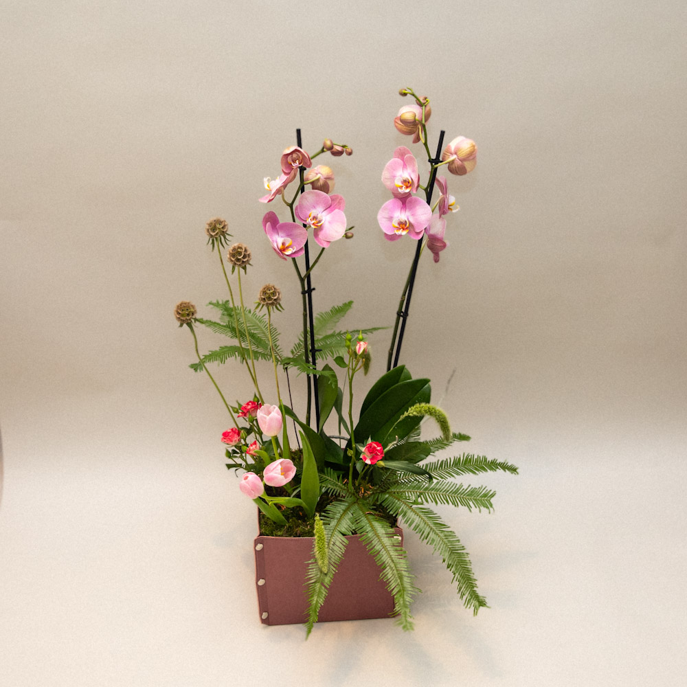 Photo 06-11-2025, 12 15 03 PM Meadow Grace - Image 1