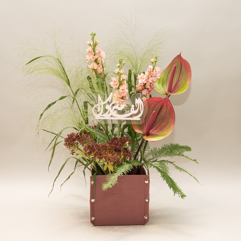 Photo 06-11-2025, 12 23 13 PM Aura Serenade 4 - Image 1