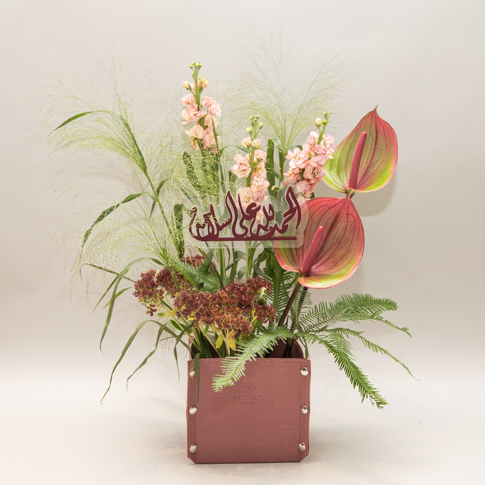 Photo 06-11-2025, 12 24 28 PM Aura Serenade 2 - Image 1